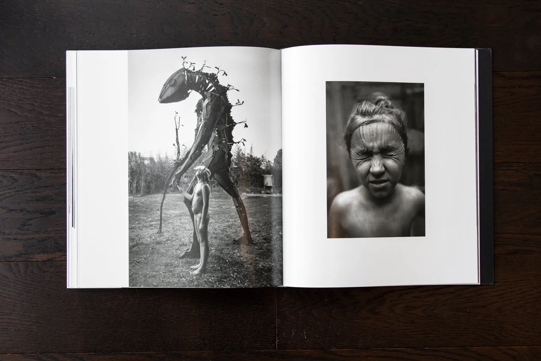 Alain Laboile: Quotidian, 2017 - Signed