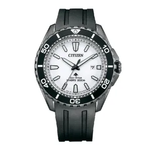 CITIZEN promaster BN0197-08A photovoltaic eco-drive stainless watch 2023.02released
