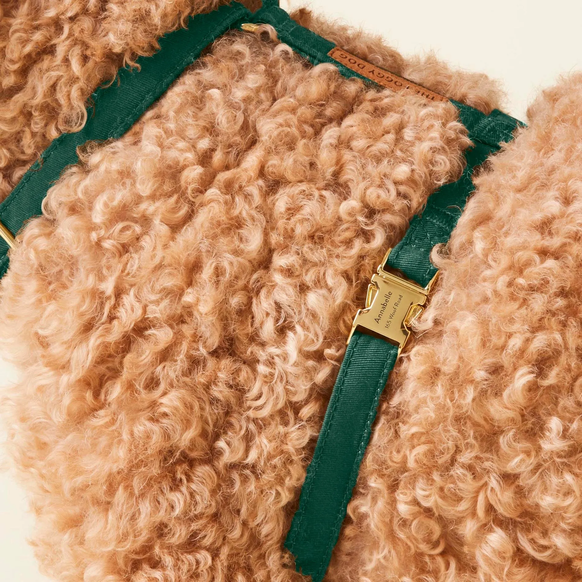 Evergreen Dog Harness