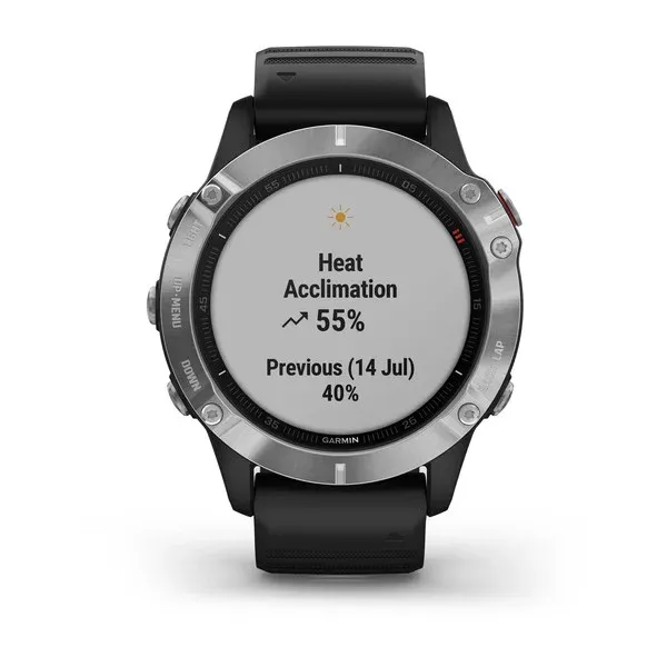 Garmin Fenix 6 Silver with Black Band