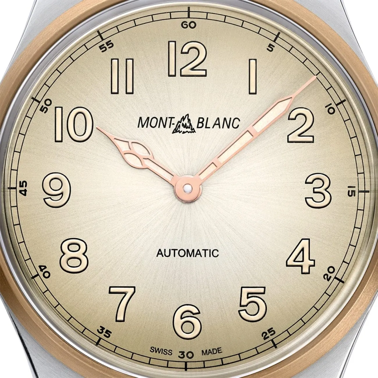 Montblanc 119065