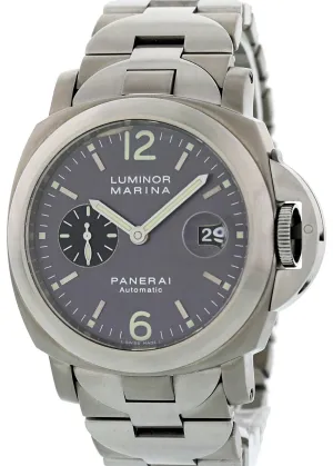 Panerai Luminor Marina PAM 91 Titanium Automatic Mens Watch Limited Run