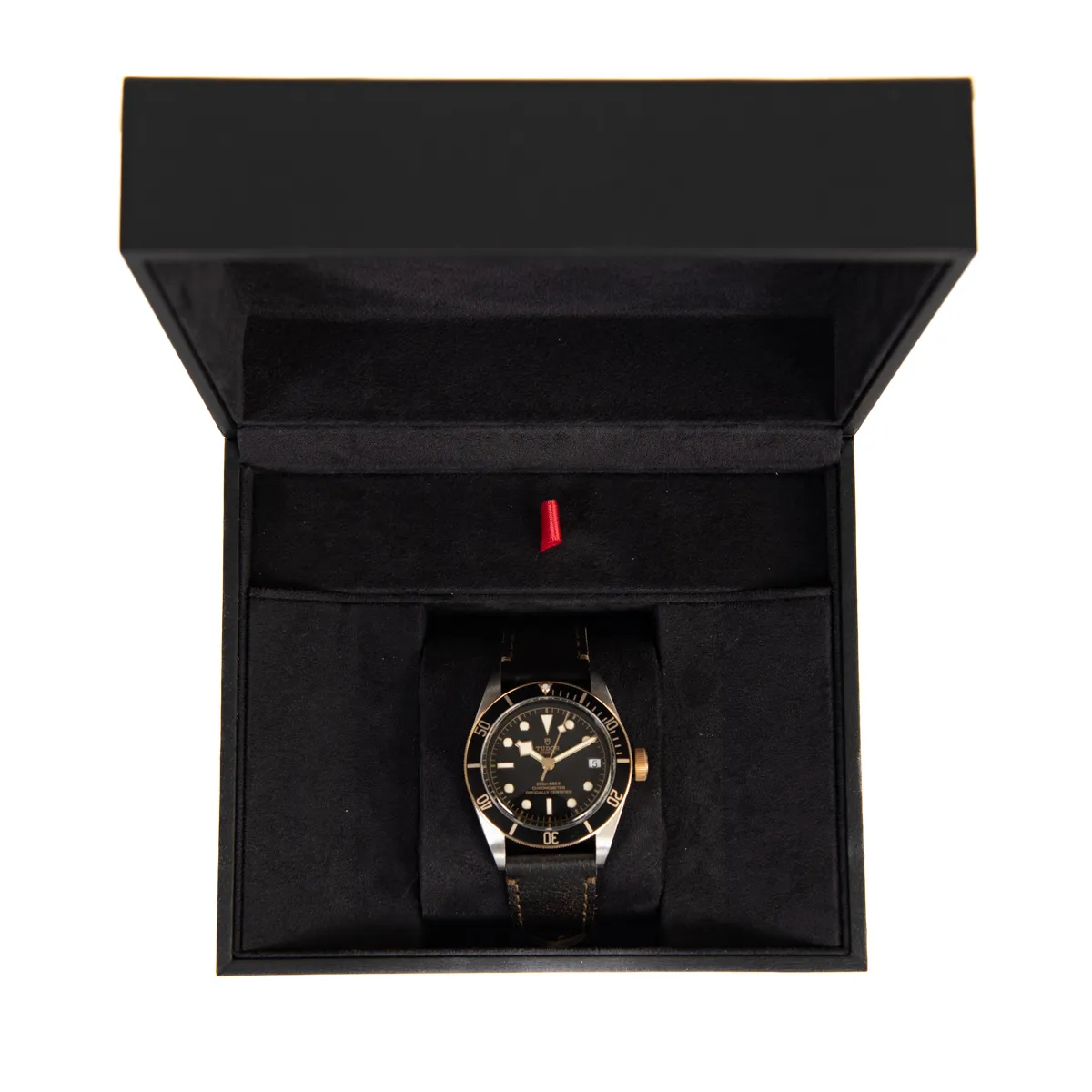 Pre-Owned Tudor Black Bay S&G Watch