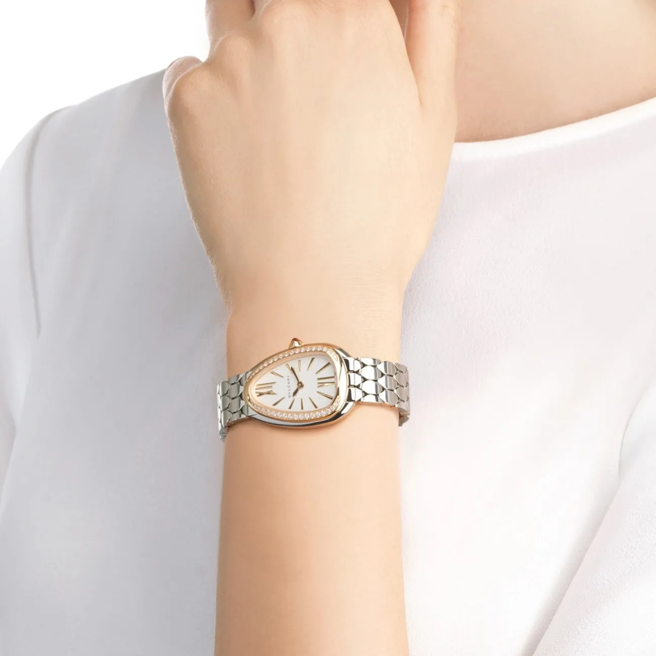 SERPENTI SEDUTTORI 103143