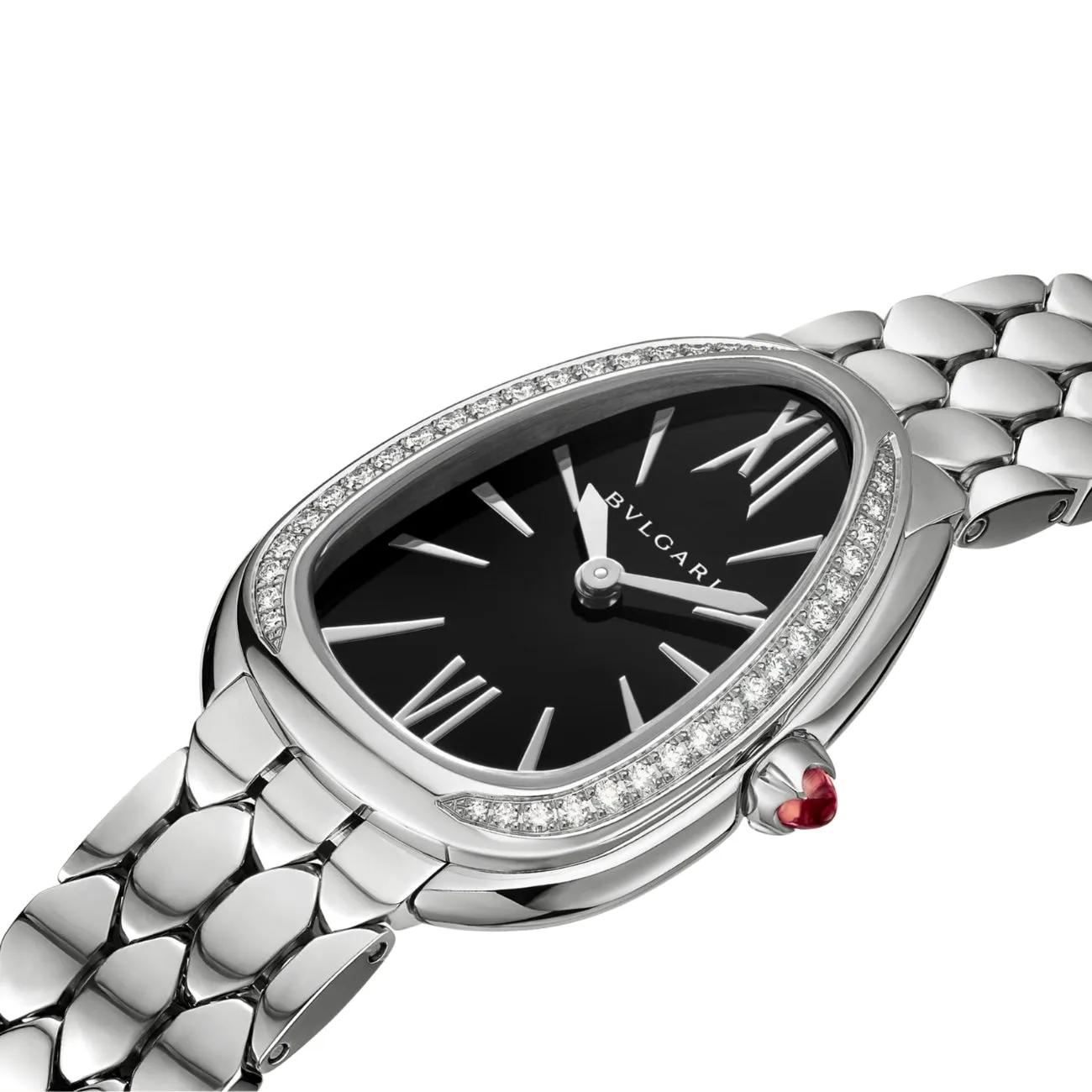 SERPENTI SEDUTTORI 103449