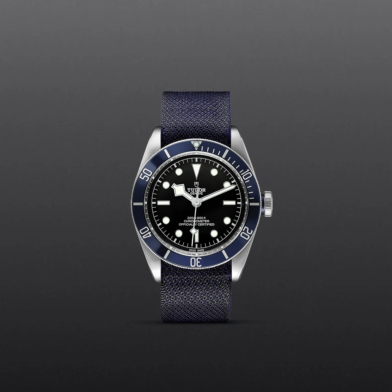 Tudor Black Bay