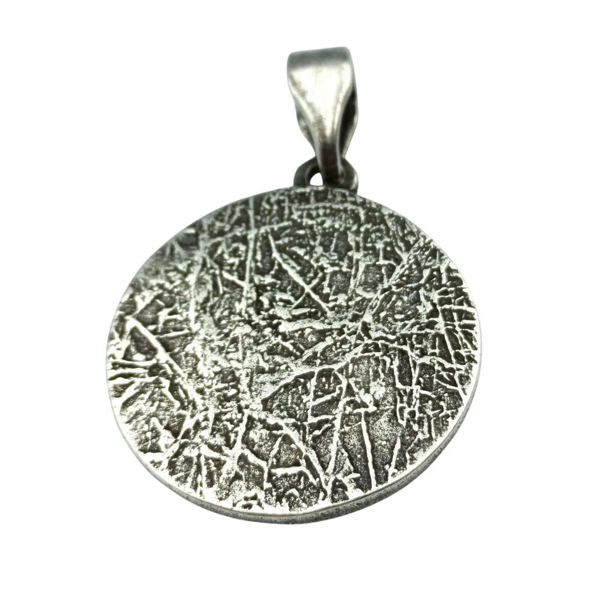 Vegvisir in circle of Elder Futhark runes silver plated pendant